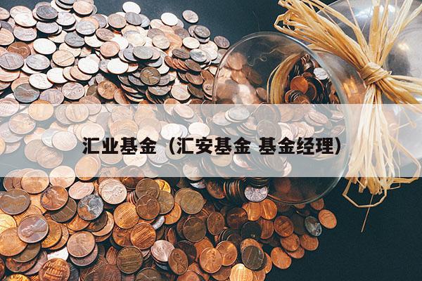 汇业基金（汇安基金 基金经理）