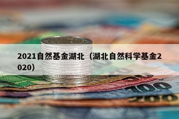 2021自然基金湖北（湖北自然科学基金2020）