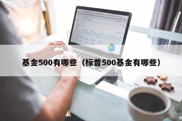 基金500有哪些（标普500基金有哪些）