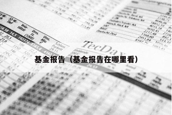 基金报告（基金报告在哪里看）