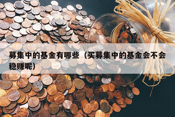 募集中的基金有哪些（买募集中的基金会不会稳赚呢）