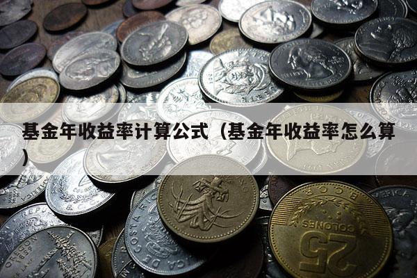 基金年收益率计算公式（基金年收益率怎么算）