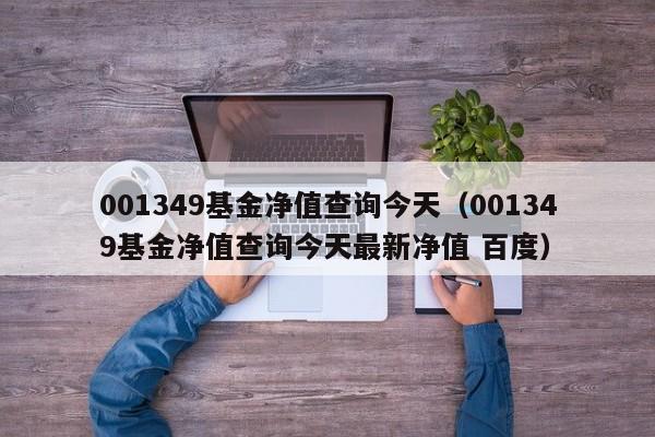 001349基金净值查询今天（001349基金净值查询今天最新净值 百度）