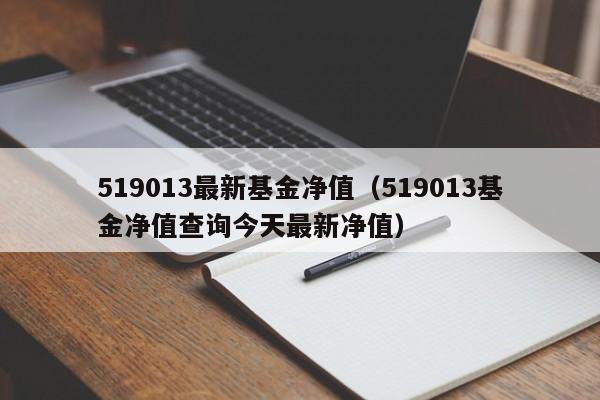 519013最新基金净值（519013基金净值查询今天最新净值）