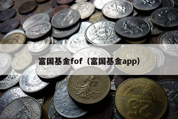 富国基金fof（富国基金app）