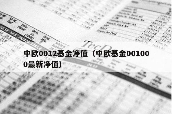 中欧0012基金净值（中欧基金001000最新净值）