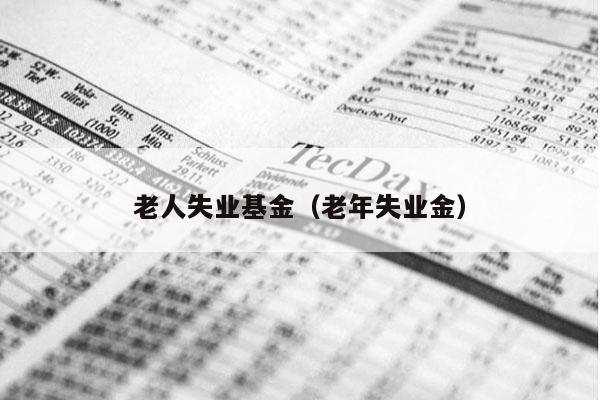 老人失业基金（老年失业金）