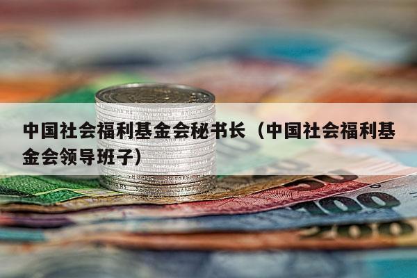 中国社会福利基金会秘书长（中国社会福利基金会领导班子）