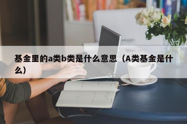 基金里的a类b类是什么意思（A类基金是什么）