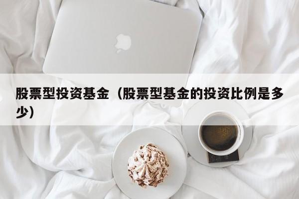 股票型投资基金（股票型基金的投资比例是多少）