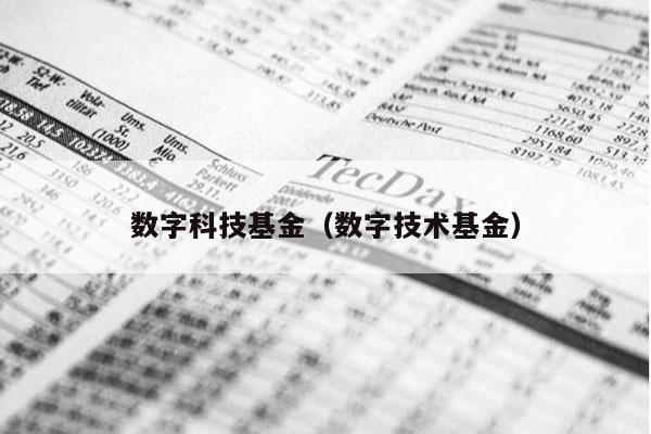 数字科技基金（数字技术基金）