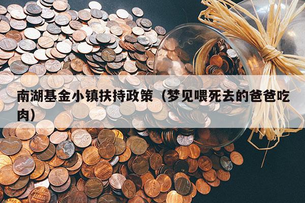 南湖基金小镇扶持政策（梦见喂死去的爸爸吃肉）