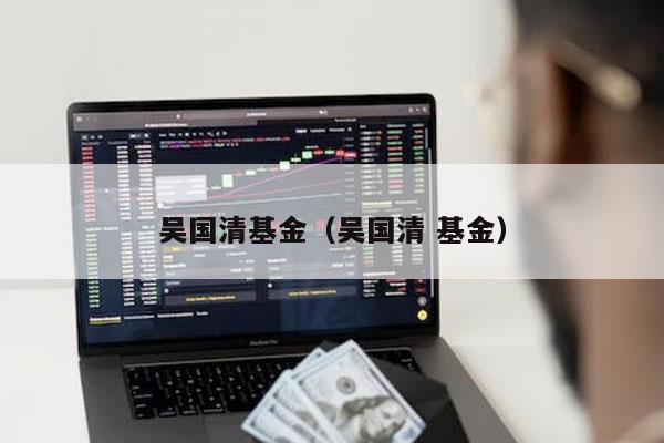 吴国清基金（吴国清 基金）