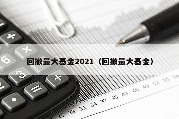 回撤最大基金2021（回撤最大基金）