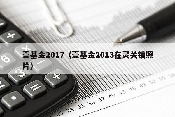 壹基金2017（壹基金2013在灵关镇照片）
