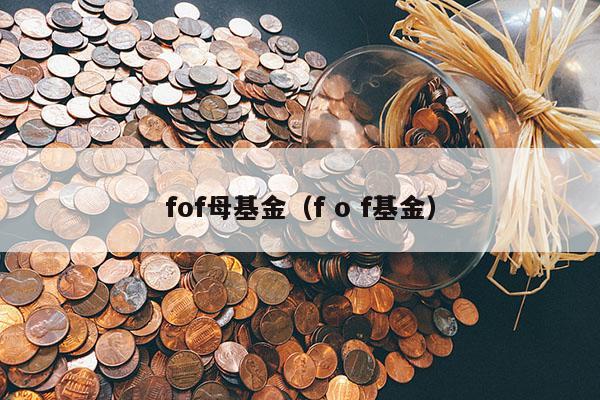 fof母基金（f o f基金）