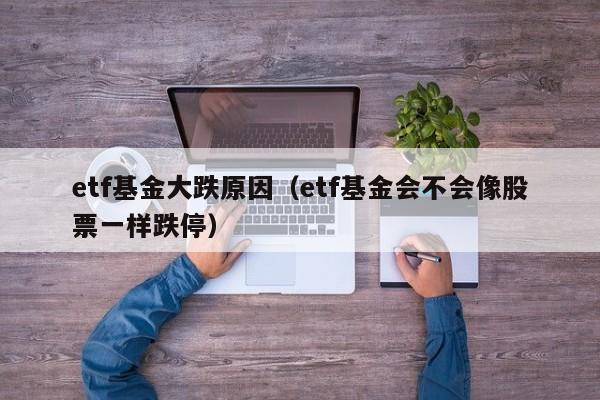 etf基金大跌原因（etf基金会不会像股票一样跌停）