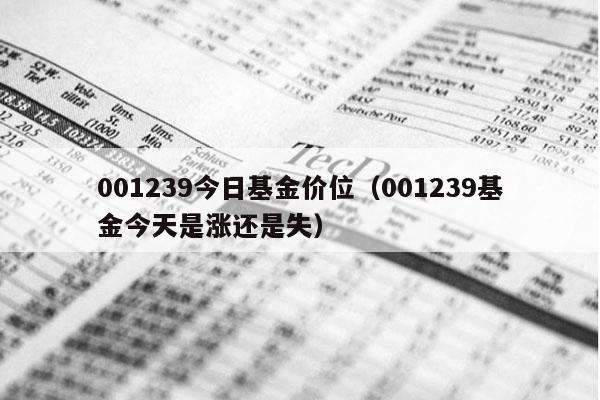 001239今日基金价位（001239基金今天是涨还是失）