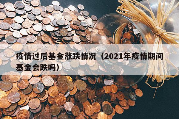 疫情过后基金涨跌情况（2021年疫情期间基金会跌吗）