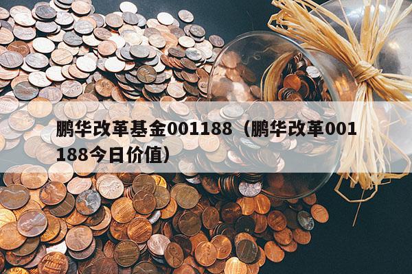 鹏华改革基金001188（鹏华改革001188今日价值）