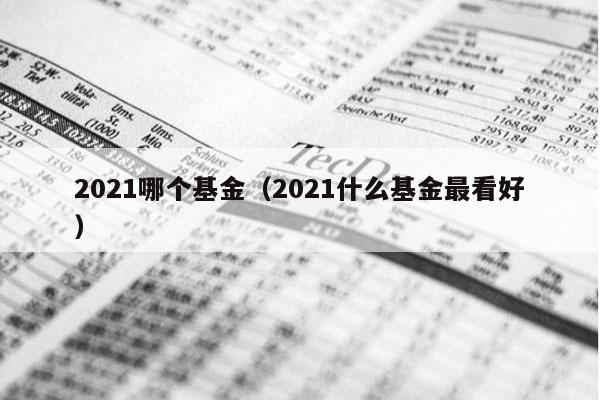 2021哪个基金（2021什么基金最看好）