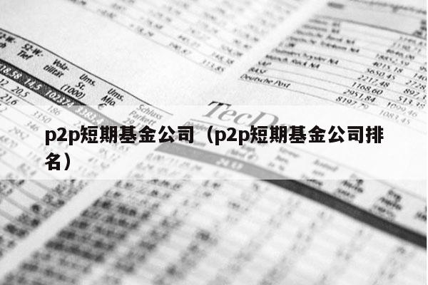 p2p短期基金公司（p2p短期基金公司排名）