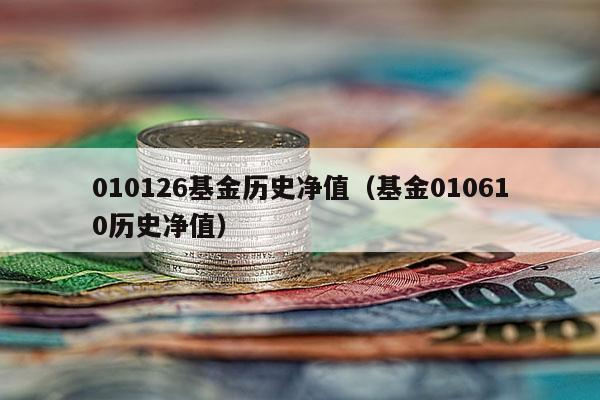 010126基金历史净值（基金010610历史净值）