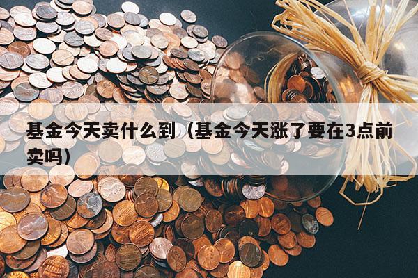 基金今天卖什么到（基金今天涨了要在3点前卖吗）