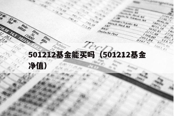 501212基金能买吗（501212基金净值）