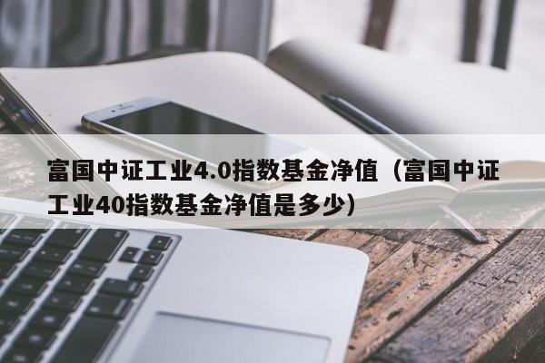 富国中证工业4.0指数基金净值（富国中证工业40指数基金净值是多少）