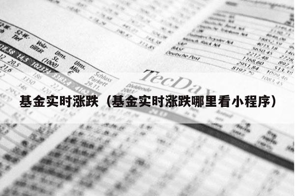 基金实时涨跌（基金实时涨跌哪里看小程序）
