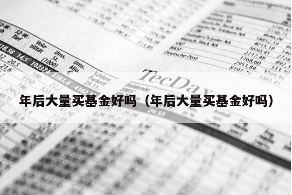 年后大量买基金好吗（年后大量买基金好吗）