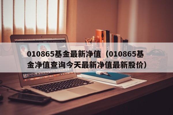 010865基金最新净值（010865基金净值查询今天最新净值最新股价）