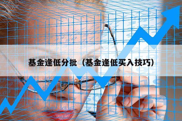 基金逢低分批（基金逢低买入技巧）
