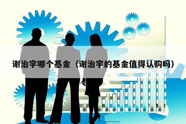 谢治宇哪个基金（谢治宇的基金值得认购吗）
