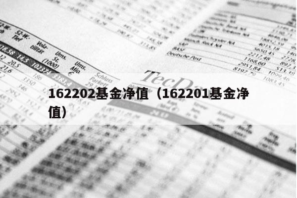 162202基金净值（162201基金净值）