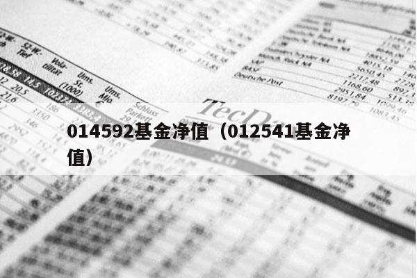 014592基金净值（012541基金净值）