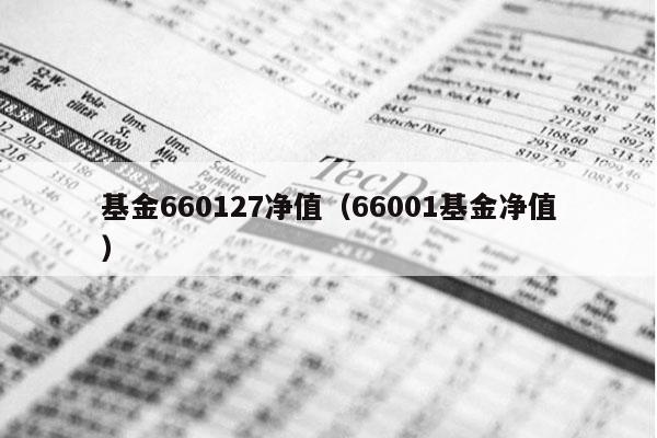 基金660127净值（66001基金净值）
