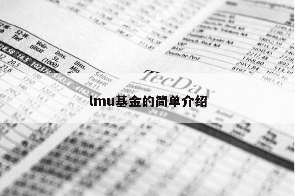 lmu基金的简单介绍