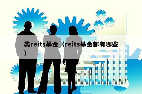 类reits基金（reits基金都有哪些）