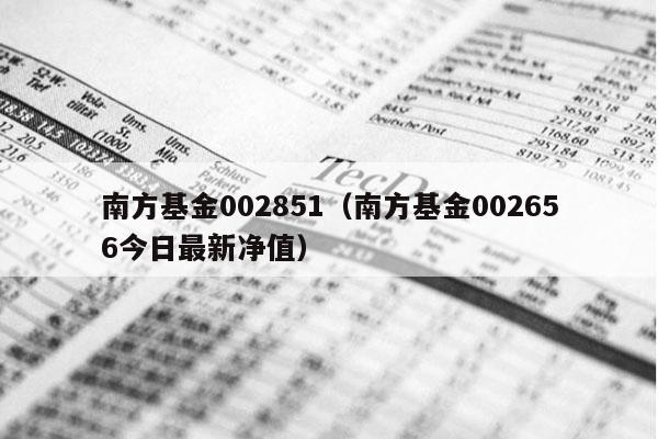 南方基金002851（南方基金002656今日最新净值）