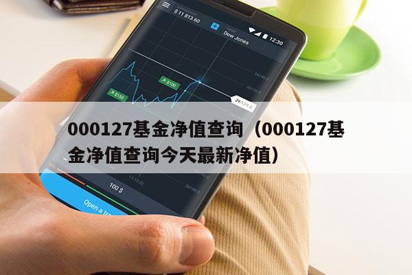 000127基金净值查询（000127基金净值查询今天最新净值）