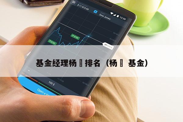 基金经理杨喆排名（杨喆 基金）