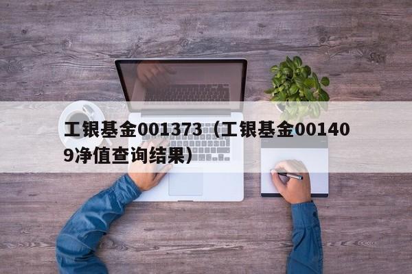 工银基金001373（工银基金001409净值查询结果）