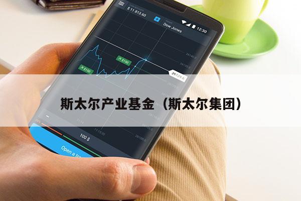 斯太尔产业基金（斯太尔集团）