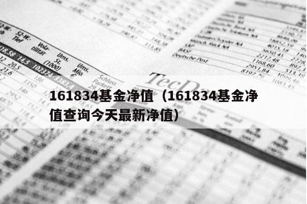161834基金净值（161834基金净值查询今天最新净值）