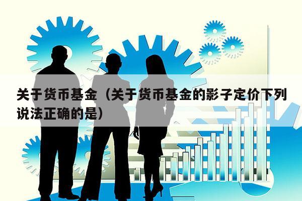 关于货币基金（关于货币基金的影子定价下列说法正确的是）