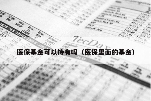 医保基金可以持有吗（医保里面的基金）