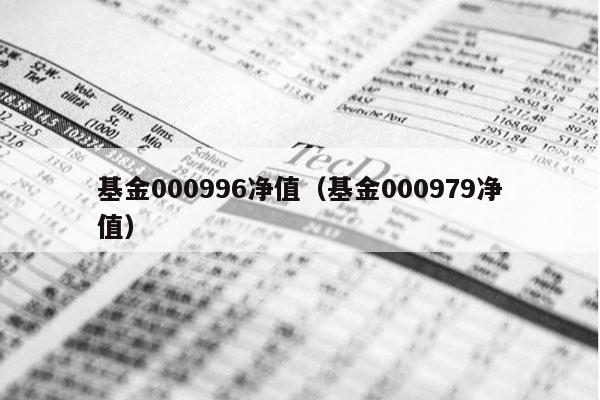 基金000996净值（基金000979净值）