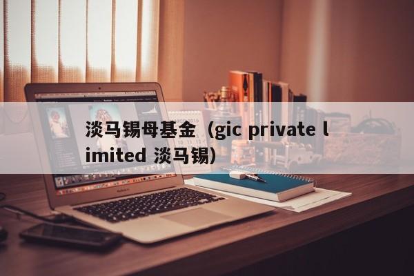 淡马锡母基金（gic private limited 淡马锡）